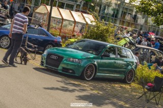 IMGP8384