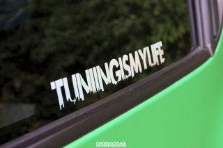 All_Car_Meeting_2022-537
