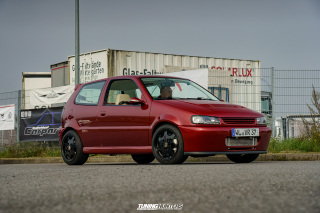 Alles_Polo_2025-Drive_IN_073