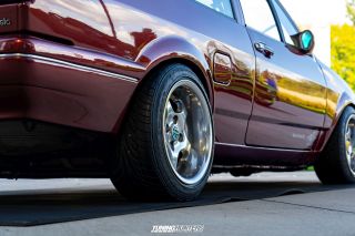 Alles_Polo_2024_0855