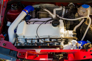 Alles_Polo_2024__512