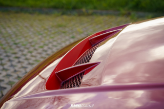 Alles_Polo_2024__584