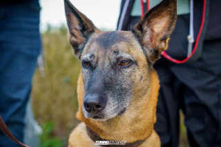 Alles_Polo_2024__645