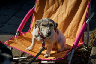 Alles_Polo_2025-Event_699