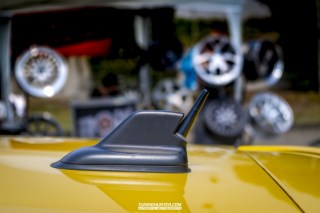 IMGP7181