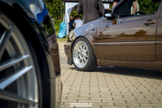 IMGP7484