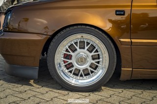 IMGP7491