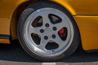 IMGP2855-1