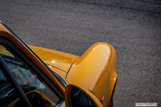 IMGP2863-1