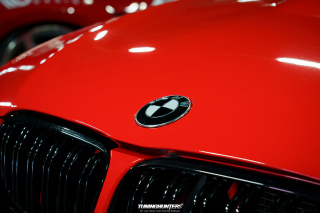 Carlove_2024_006