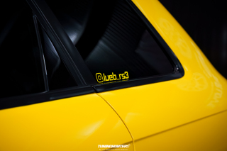Carlove_2024_035