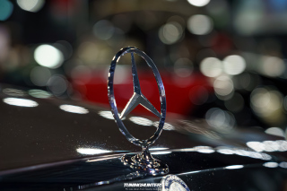 Carlove_2024_082