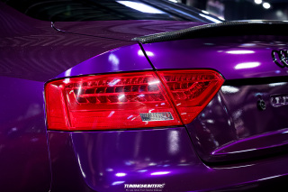 Carlove_2024_130
