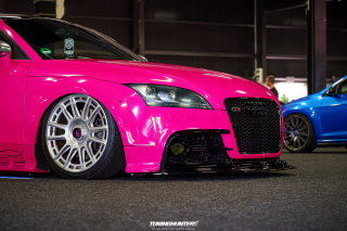 Carlove_2024_186