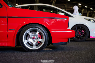 Carlove_2024_261