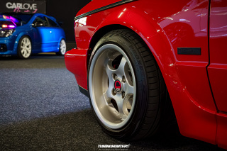 Carlove_2024_262