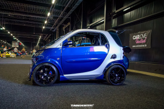 Carlove_2024_264