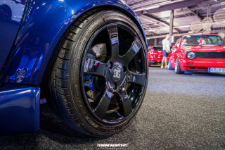 Carlove_2024_274