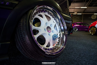 Carlove_2024_315