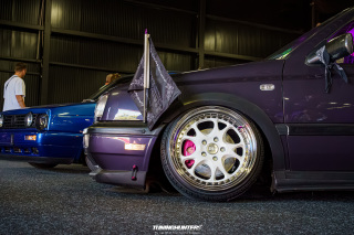 Carlove_2024_317