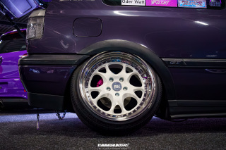 Carlove_2024_321