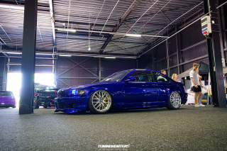 Carlove_2024_365