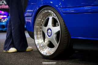 Carlove_2024_394