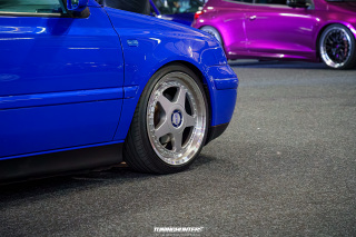 Carlove_2024_395