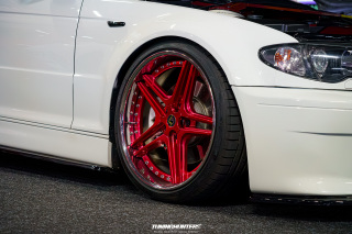 Carlove_2024_409