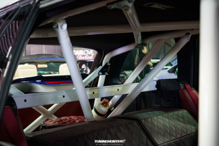 Carlove_2024_411