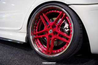 Carlove_2024_418