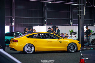 Carlove_2024_432