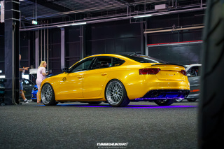 Carlove_2024_433