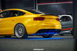 Carlove_2024_435