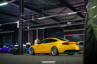 Carlove_2024_436