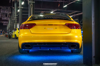 Carlove_2024_437