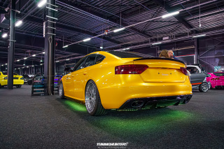 Carlove_2024_438