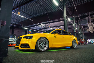 Carlove_2024_441