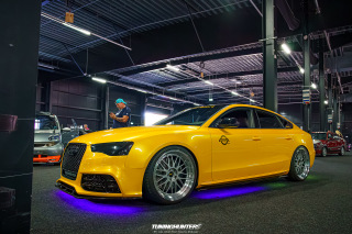 Carlove_2024_442
