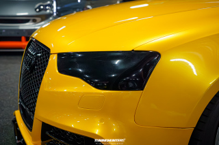 Carlove_2024_443