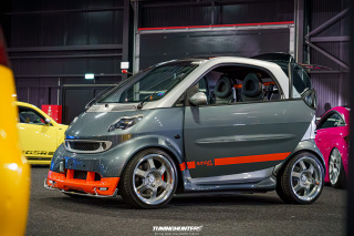 Carlove_2024_446