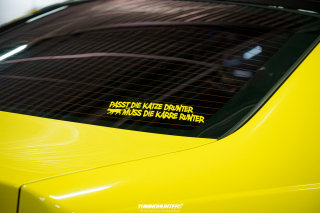Carlove_2024_470