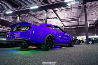 Carlove_2024_475