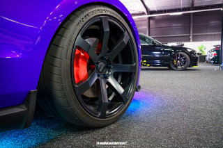 Carlove_2024_478