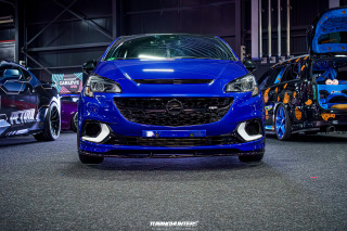 Carlove_2024_481