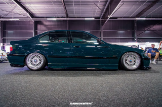Carlove_2024_496