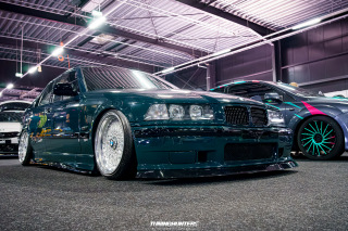 Carlove_2024_499