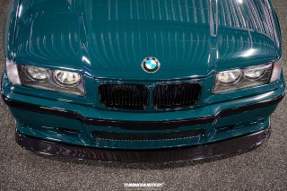 Carlove_2024_506