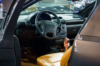 Carlove_2024_525