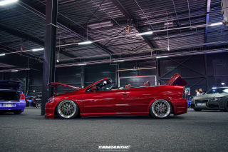 Carlove_2024_536